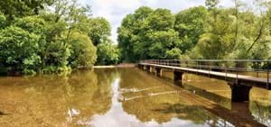 Moreton