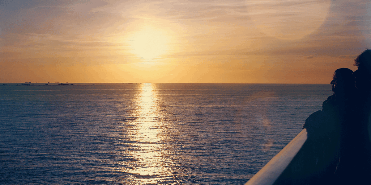 Condor Ferries | Performance