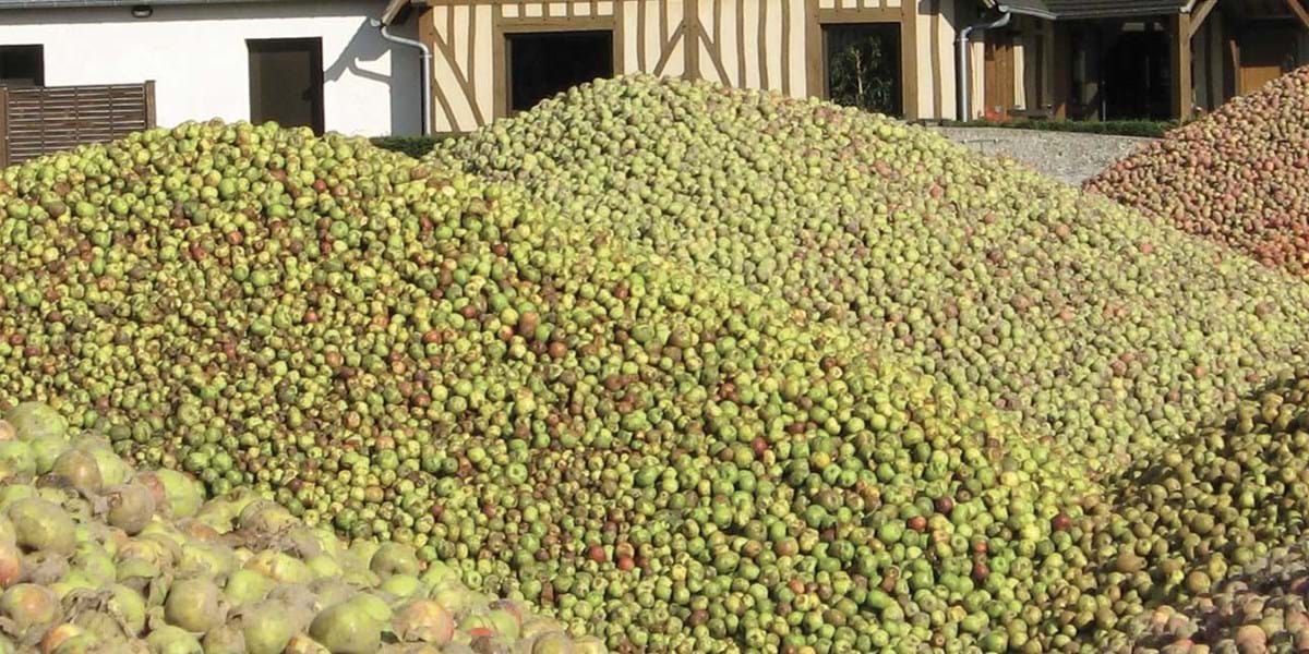 Normandy Cider Route