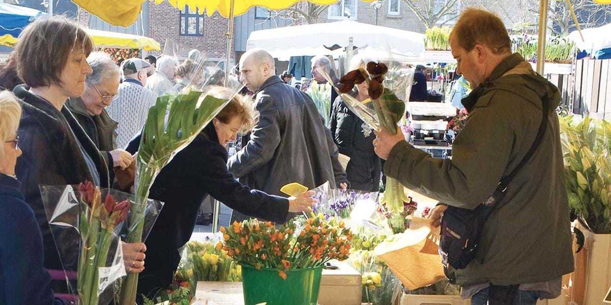 St Malo Market