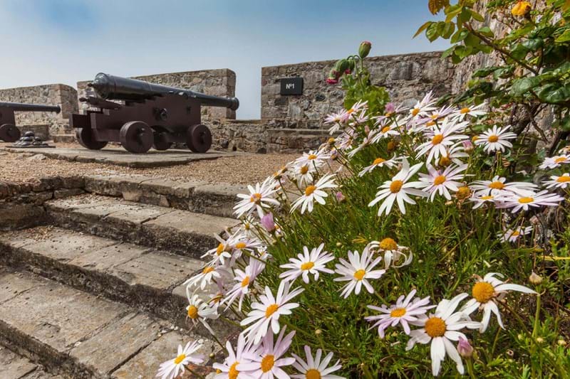 Cannon Fodder - Castle Corner.jpg