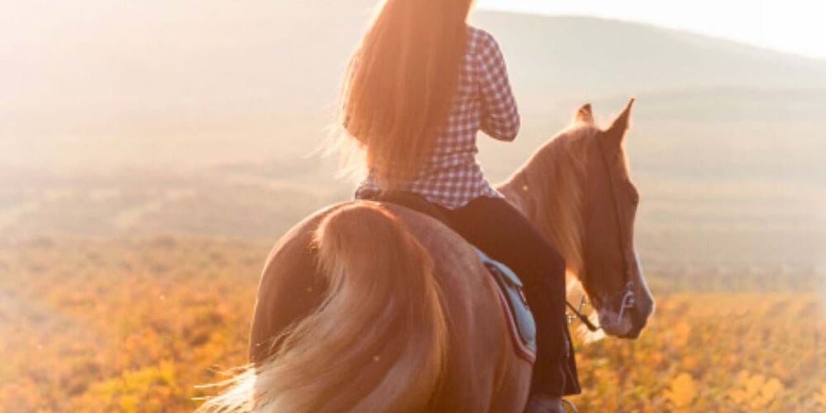 Horse riding in UK